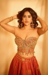 Nabha Natesh photo