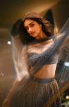 Bhagyashri Borse photo